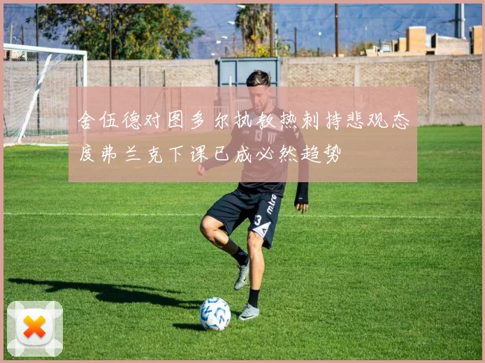 舍伍德对图多尔执教热刺持悲观态度弗兰克下课已成必然趋势